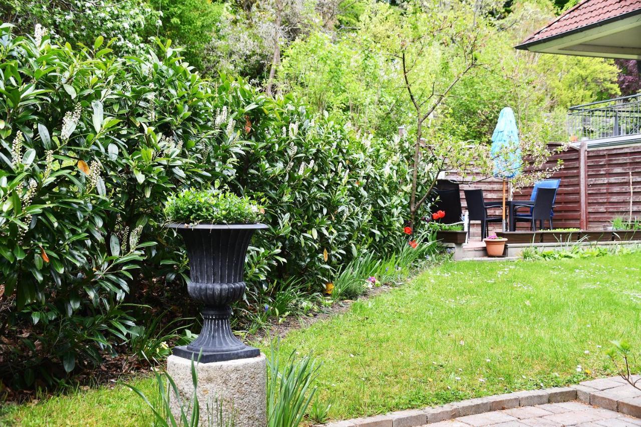 Ferienwohnung In Sassnitz Exteriér fotografie
